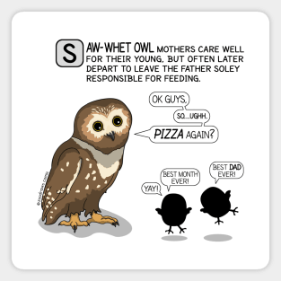 SAW-WHET OWL DAD #1 - ZOODRAWS COMIC Magnet